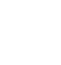 shop-icon