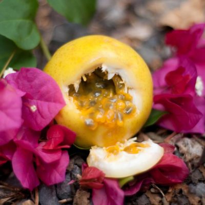 Lilikoi or Passion Fruit Defined by Rochelle at www.davinehawaii.com