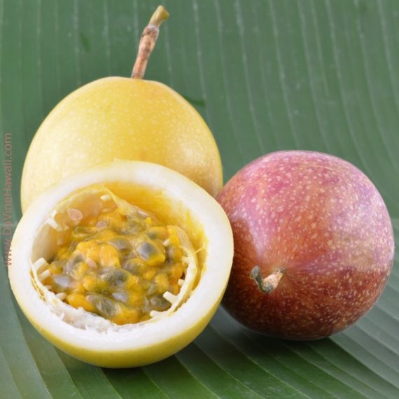 Passion Fruit by Rochelle for www.davinehawaii.com