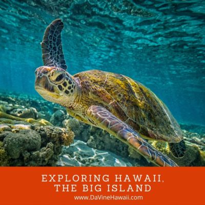 Sea Turtle Snorkeling Adventure in Hawaii